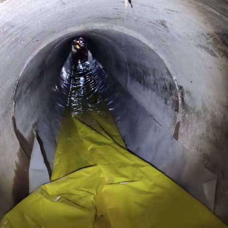 丘北管道光固化修复